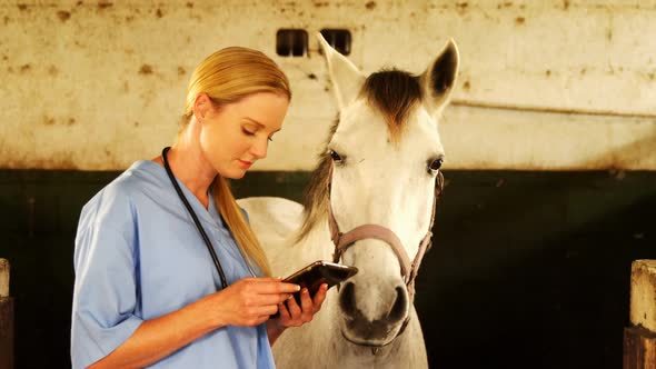 Veterinarian doctor using digital tablet 4k