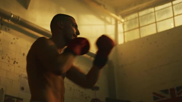 Boxer punching the air