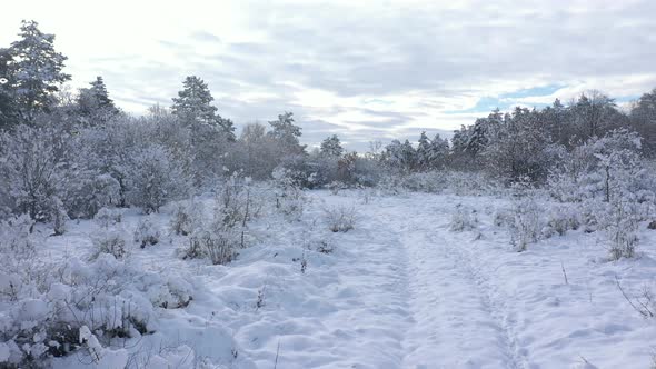 Slow flight over path and forest after snowing 4K aerial footage