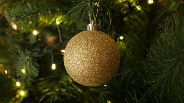 Close-up of glitering gold bauble hanged on the branch  4K 2160p 30fps UltraHD footage - Sparkling g