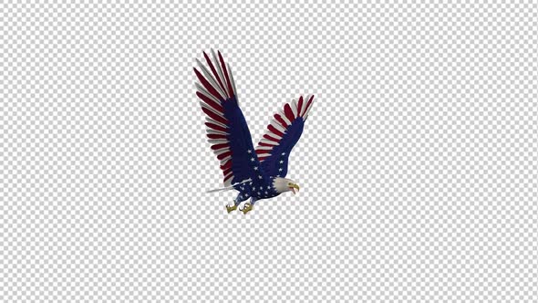 American Eagle - USA Flag - Flying Loop - Side Angle alt