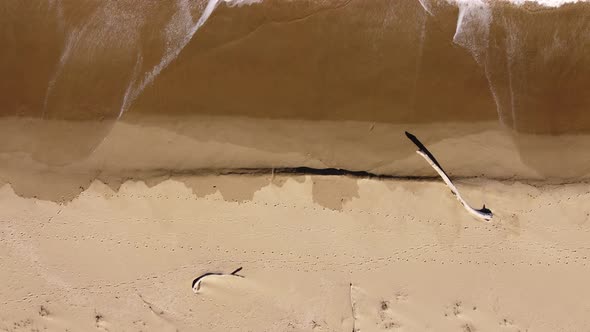 Aerial View of Sandy Beach and Sea Waves