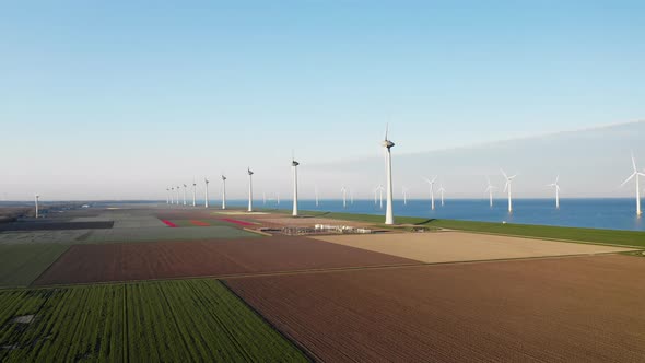 Onshore And Offshore Wind Turbines At Wind Farm With Fields Of Dutch Tulips In Flevoland, North Holl