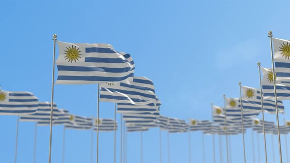 Uruguay Row Of Flags Animation