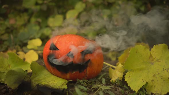 Halloween Pumpkin is Smoking