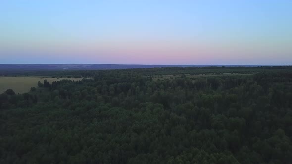 Top View of Panorama of Forest and Horizon with Dawn Sky