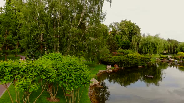 Thin Pathway Near the Park Pond