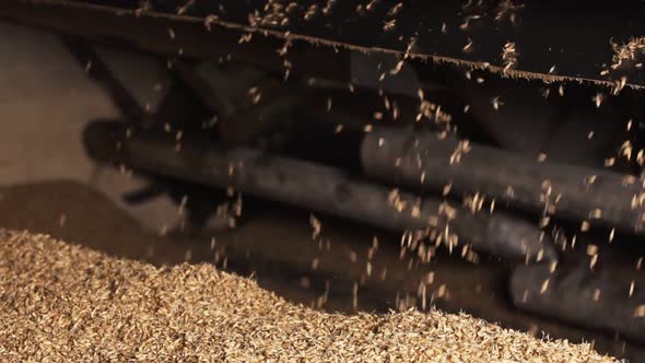 Grain Bin