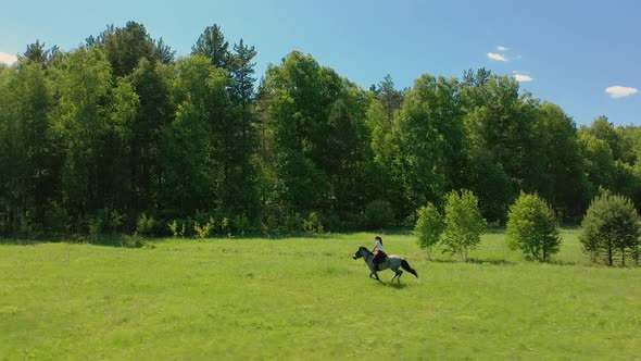 Aerial Horse with Woman Rider Galloping Across Field at Summer Sunny Day