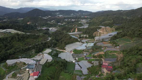 Cameron Highlands, Pahang Malaysia