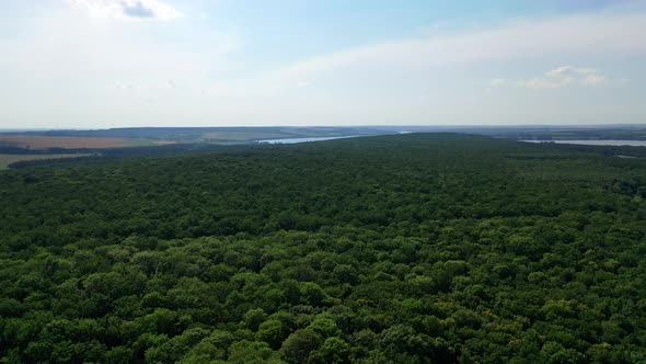 Aerial view of green forest. Flying over beautiful green forest in rural landscape