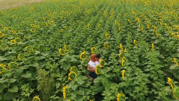 Aerial View of Man and Woman Walking on Yellow Sunflower Field