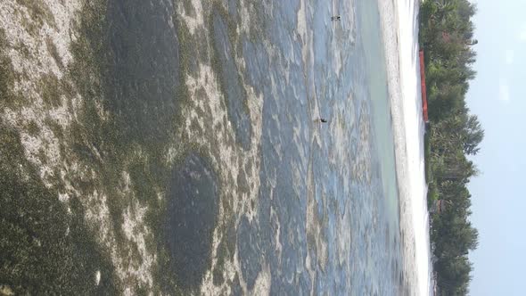 Zanzibar Tanzania  Vertical Video of Low Tide in the Ocean Near the Coast Slow Motion