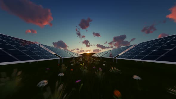 Solar Panels At Sunrise 4K alt
