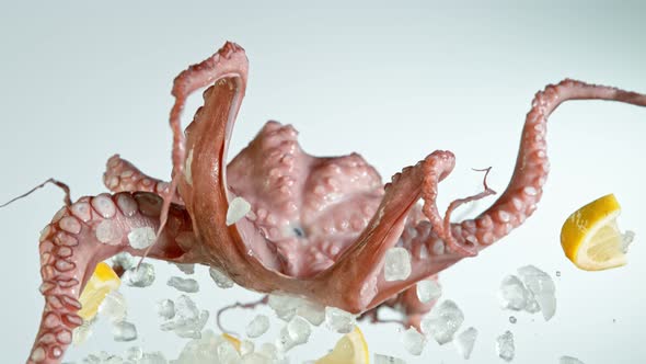 Super Slow Motion Shot of Flying Fresh Octopus, Crushed Ice and Lemon Slices at 1000 Fps.