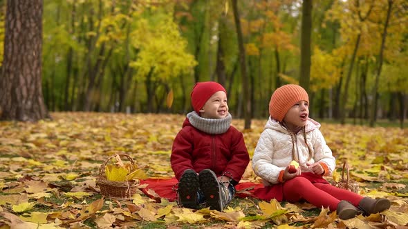 Little Cute Preschool Minor Baby Siblings Girl and Boy Smiling On Red Plaid Yellow Fallen Leaves In