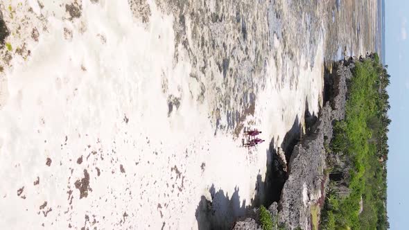 Vertical Video of the Ocean Near the Coast of Zanzibar Tanzania Aerial View