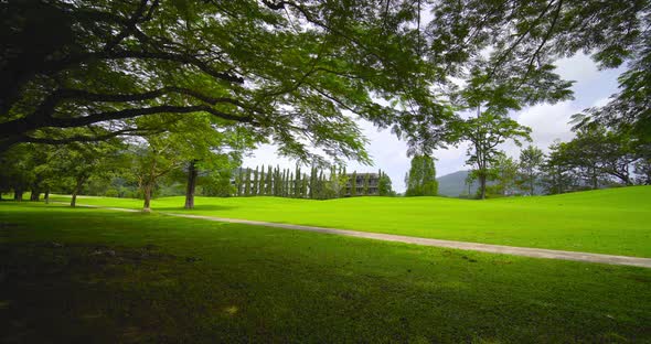 Park and Outdoor Video public park. Panoramic view of big tree and green meadow park in morning time