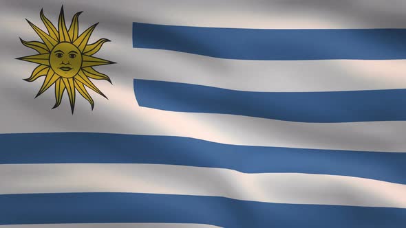 Uruguay Windy Flag Background 4K