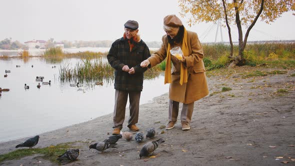 Happy Retired Spouses Standing Near a River with Ducks Floating in It Gulls Flying Above and Feeding