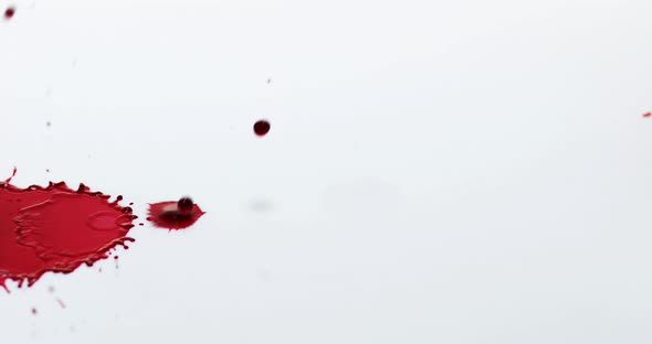 900095 Blood Dripping against White Background, Slow Motion 4K