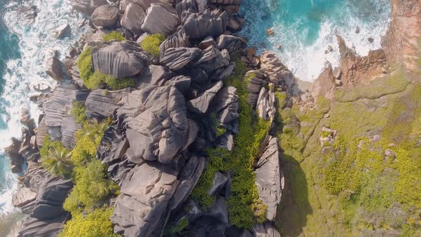 Aerial View of Tropical Island with Sea Vegetation and Shoreline