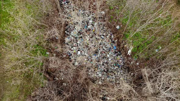 Garbage Dump in Forest