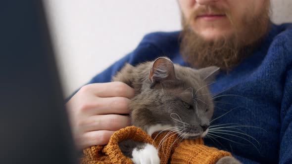 A Gray Fluffy Cat in a Suit for Cats in the Form of a Knitted Cordegan the Cat is Held in His Arms