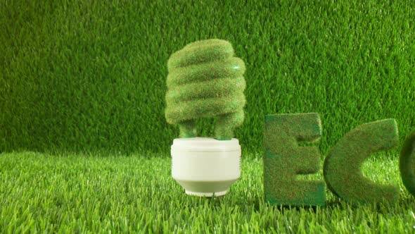 Eco Light Bulb in Green Grass
