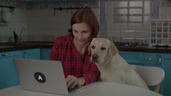 30s Woman Using Laptop Working Online From Home with Labrador Retriever Puppy Sitting Nearby