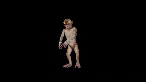 Funny Monkey Dancing alt