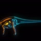 Dicraeosaurus - VideoHive Item for Sale