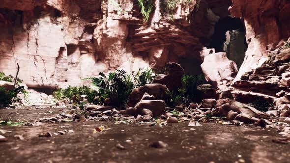 Large Fairy Rocky Cave with Green Plants