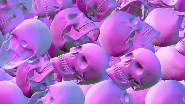 Skull Transition 01 Hd 