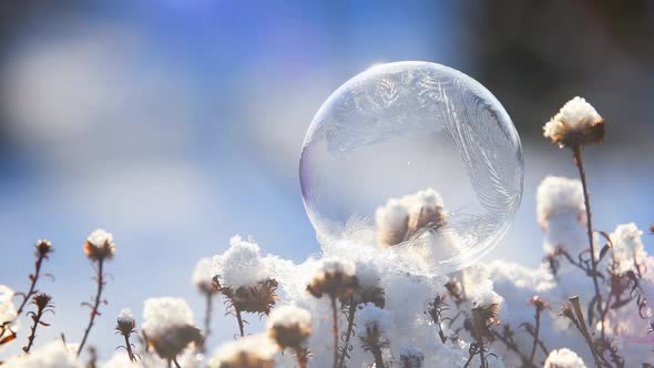 Freezing Bubble