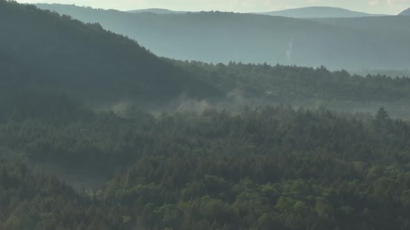 Early morning aerial over fog covered woodland wilderness