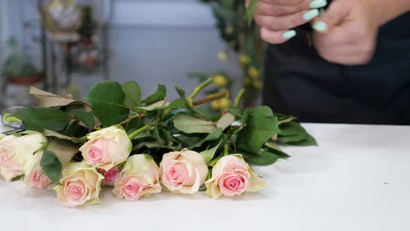 Woman Florist Tear the Leaves of the Rose Stems Preparing Flowers to Bunch