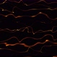 Abstract Brown Smooth Line Wave Motion Animated On Black Background - VideoHive Item for Sale