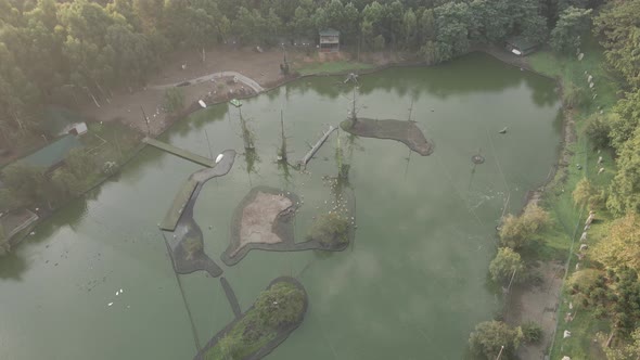 Aerial view of Dendrological Park in Shekvetili village, Georgia