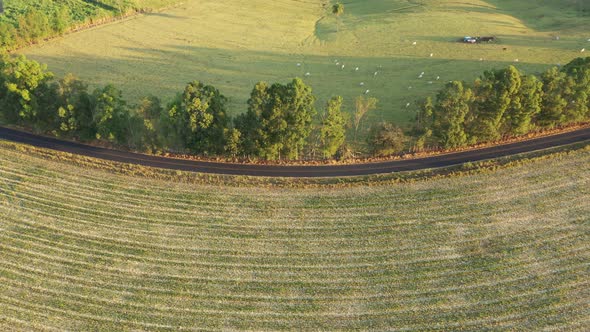 Rural landscape aerial view. Nature scenery