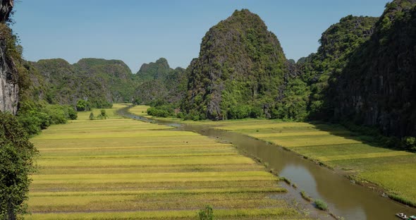 Rice Paddies In Vietnam