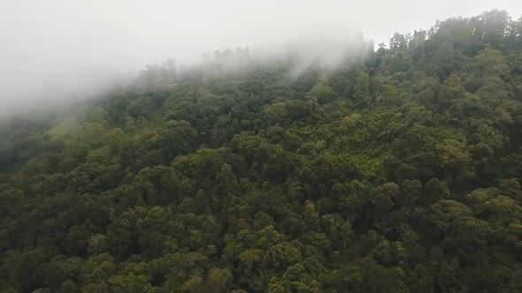 Rainforest Cloud BaliIndonesia