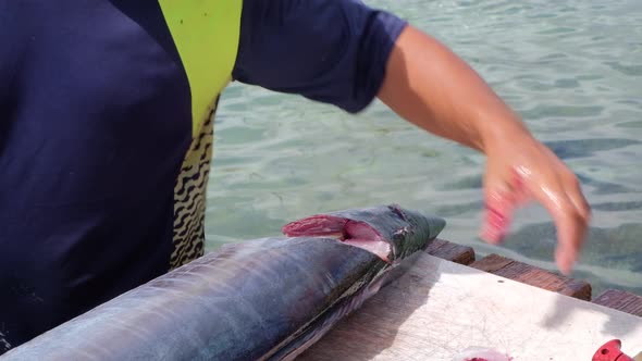 Fisherman ring pectoral fins of freshly caught tropical Wahoo fish outside on jetty in Caribbean, cl