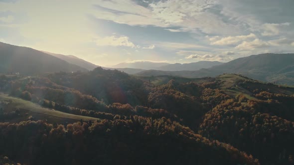 Picturesque Forests on Hill Slopes Lit By Bright Sunlight