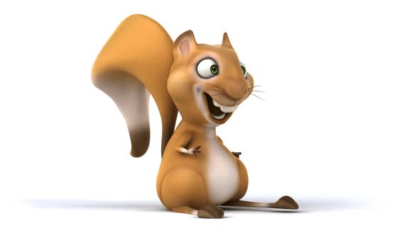 Fun squirrel dancing