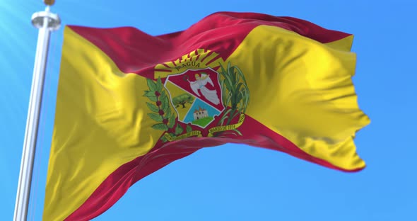 Aragua State Flag, Venezuela