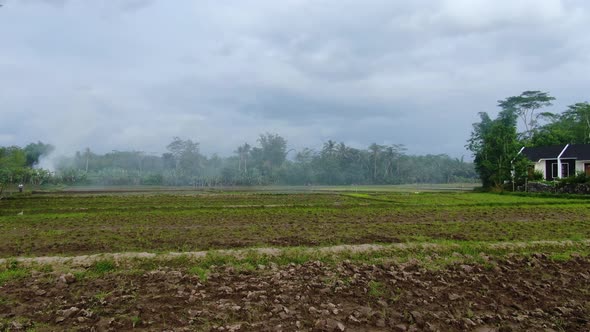 Drone flying over rice field on foggy day, Magelang in Indonesia. Aerial forward low altitude