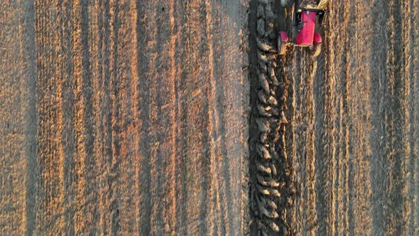 Tractor Preparing Land on Plowed Field for Sowing