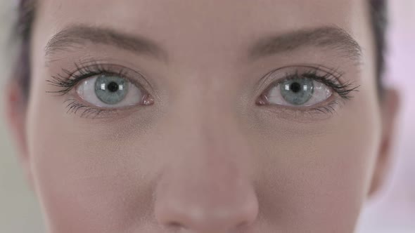 Portrait of Attractive Blue Eyes of Young White Woman Blinking