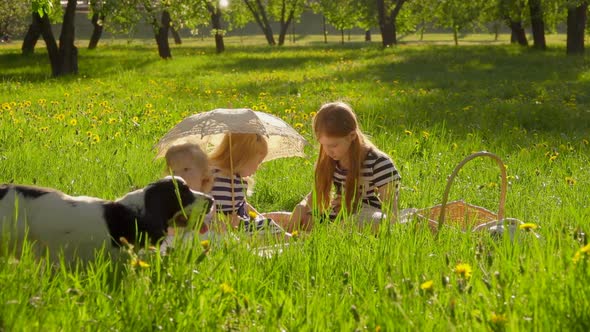 Little Girls are Sitting on the Lawn Under the Vintage Sun Umbrella